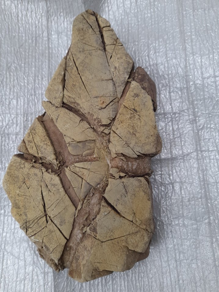 Dekoratif akvaryum taş 008 - Görsel 2