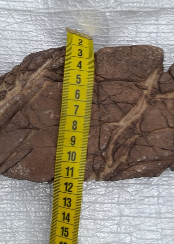 Dekoratif akvaryum deniz taş 009 - Görsel 6