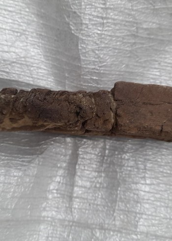 Dekoratif akvaryum deniz taş 009 - Görsel 3