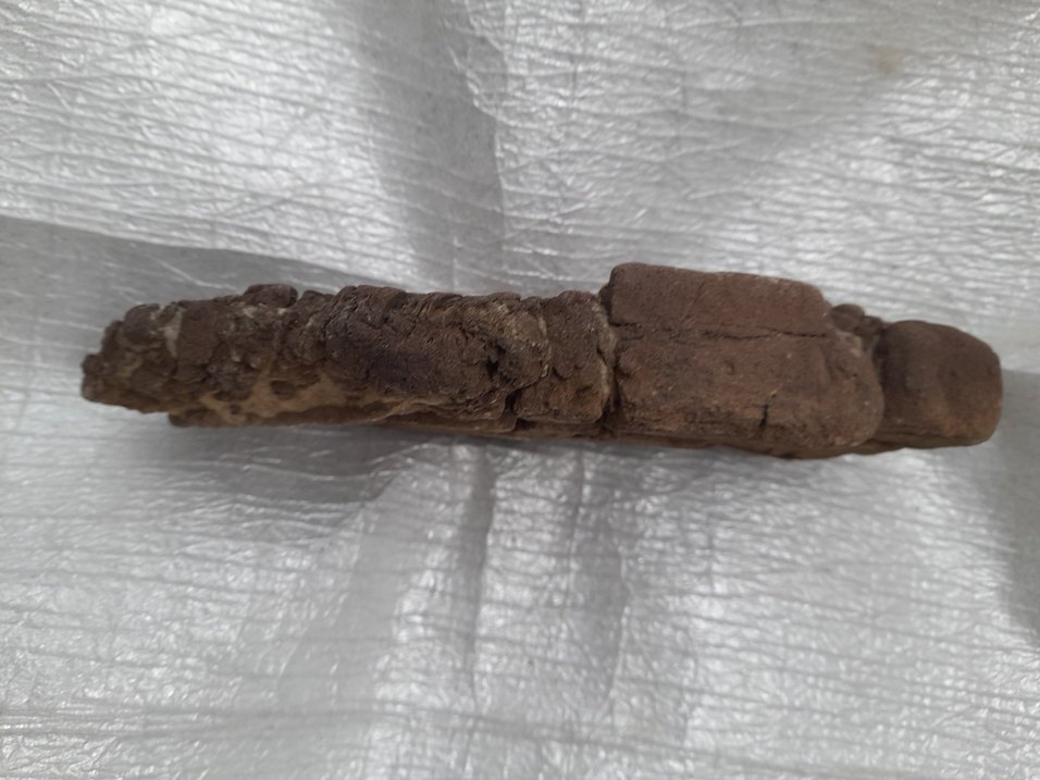 Dekoratif akvaryum deniz taş 009 - Görsel 3