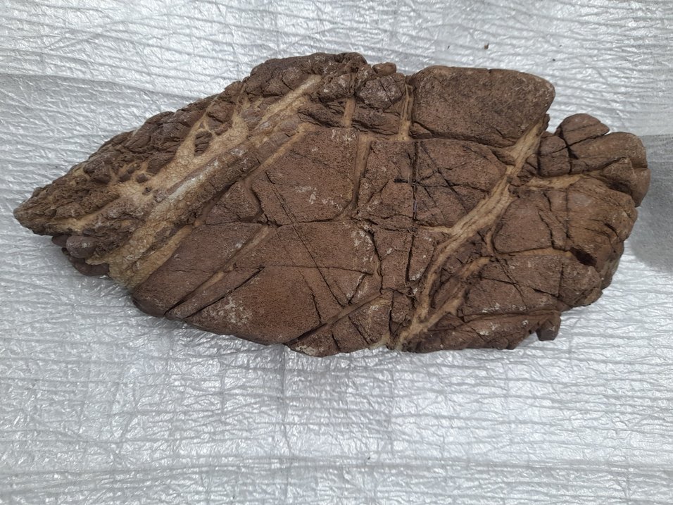 Dekoratif akvaryum deniz taş 009 - Görsel 2