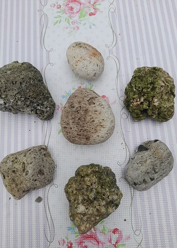 Doğal Denizden dekoratif taşlar 0015 - Görsel 3