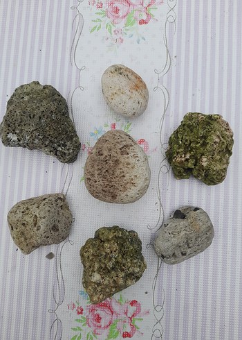 Doğal Denizden dekoratif taşlar 0015 - Görsel 4