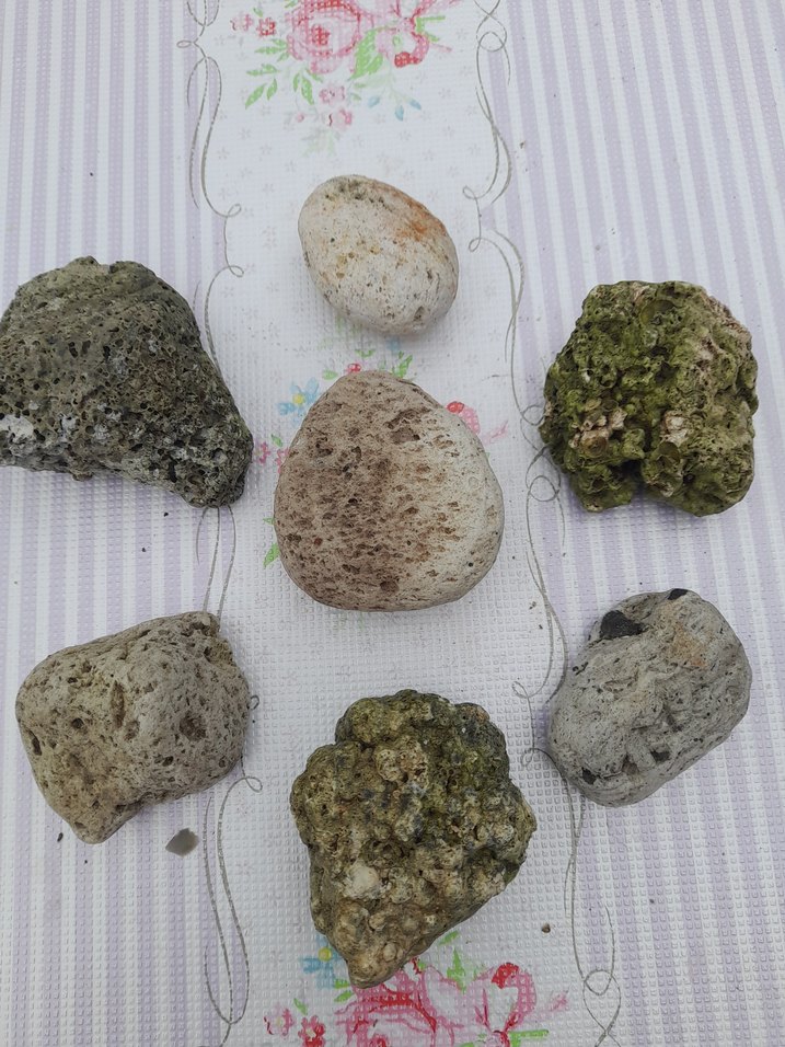 Doğal Denizden dekoratif taşlar 0015 - Görsel 3