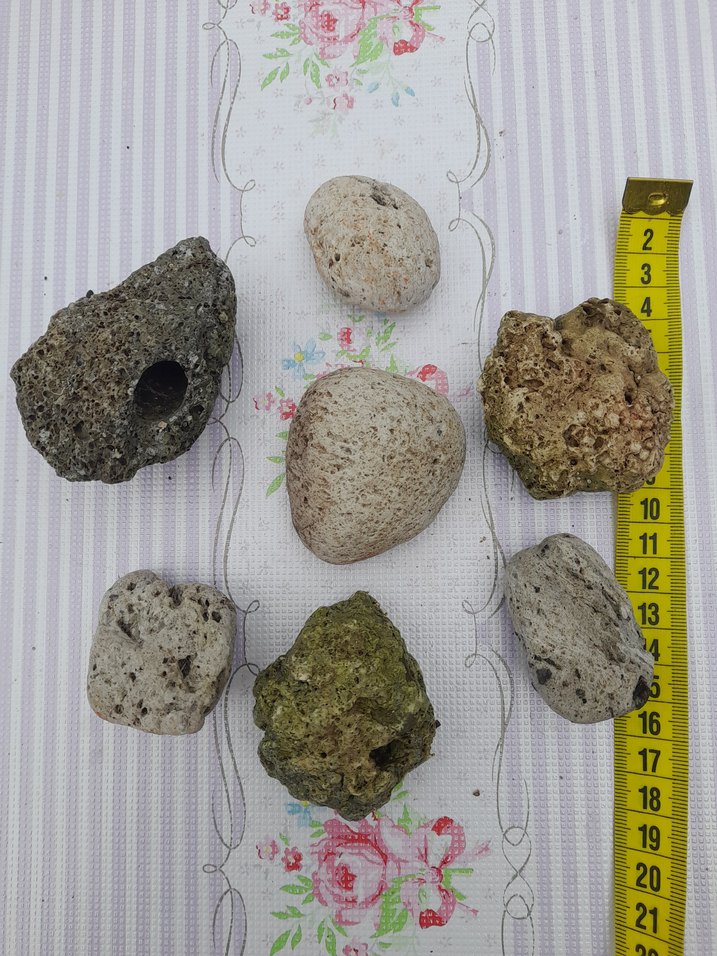 Doğal Denizden dekoratif taşlar 0015 - Görsel 2