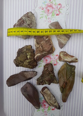 Kahverengi Doğal Deniz Taşları 0013 - Görsel 3