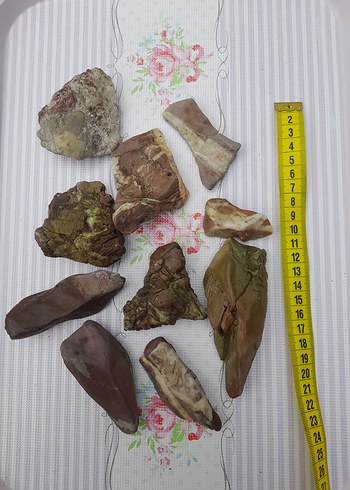 Kahverengi Doğal Deniz Taşları 0013 - Görsel 2