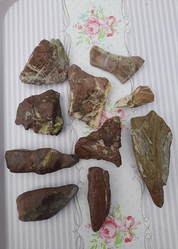 Kahverengi Doğal Deniz Taşları 0013 - Görsel 4