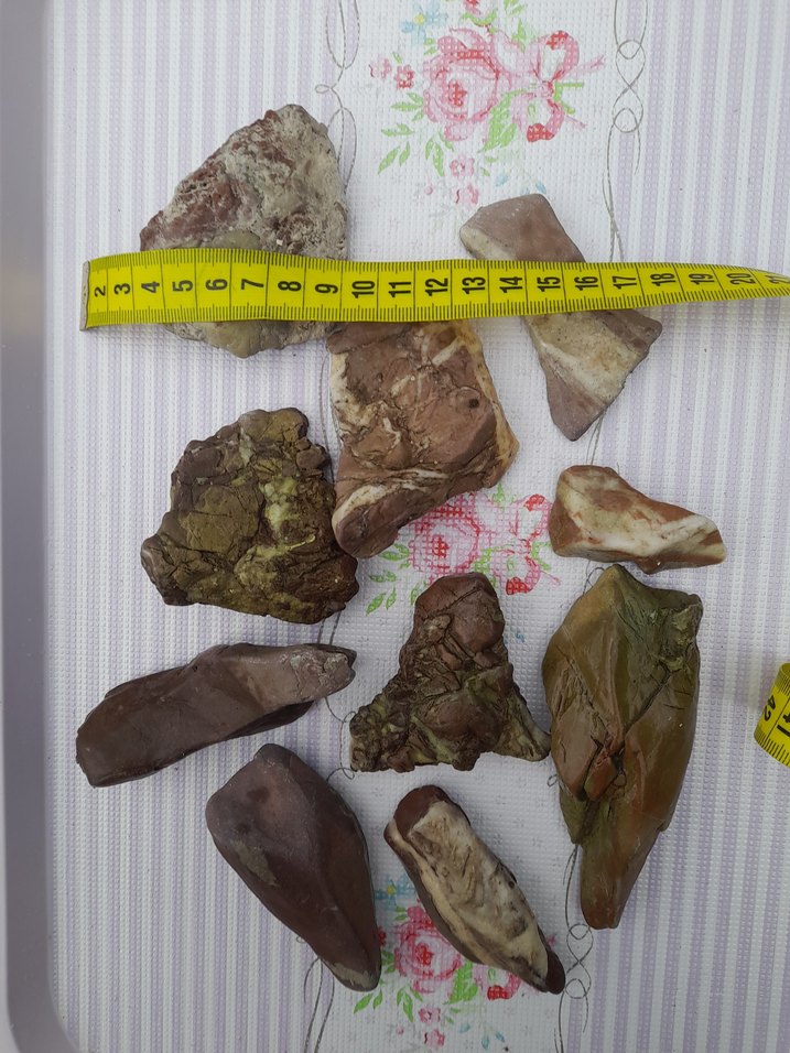 Kahverengi Doğal Deniz Taşları 0013 - Görsel 3