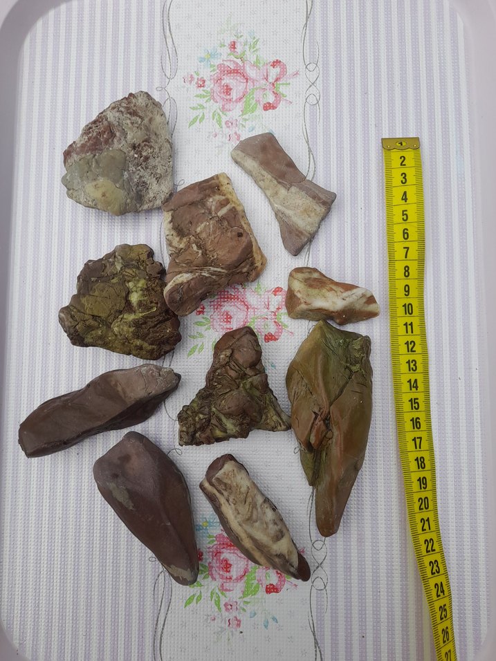 Kahverengi Doğal Deniz Taşları 0013 - Görsel 2