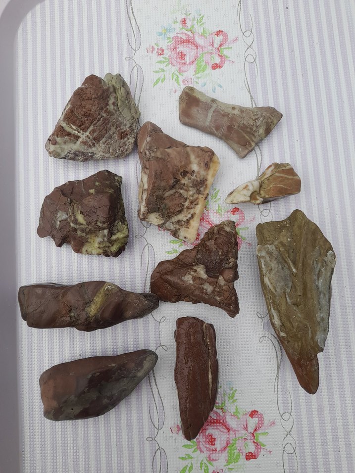 Kahverengi Doğal Deniz Taşları 0013 - Görsel 4