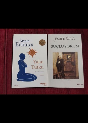 Annie Ernaux ve Émile Zola Kitap Seti