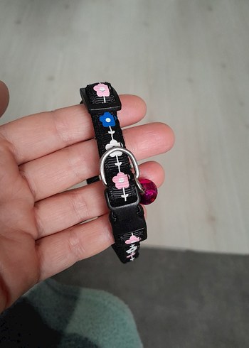 Renkli Pembe Kedi Tasması Çanlı - Görsel 3