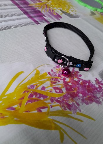 Renkli Pembe Kedi Tasması Çanlı - Görsel 4