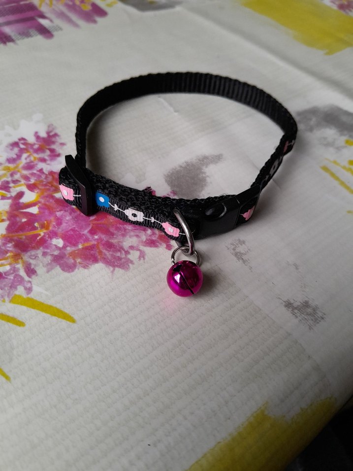 Renkli Pembe Kedi Tasması Çanlı - Görsel 2