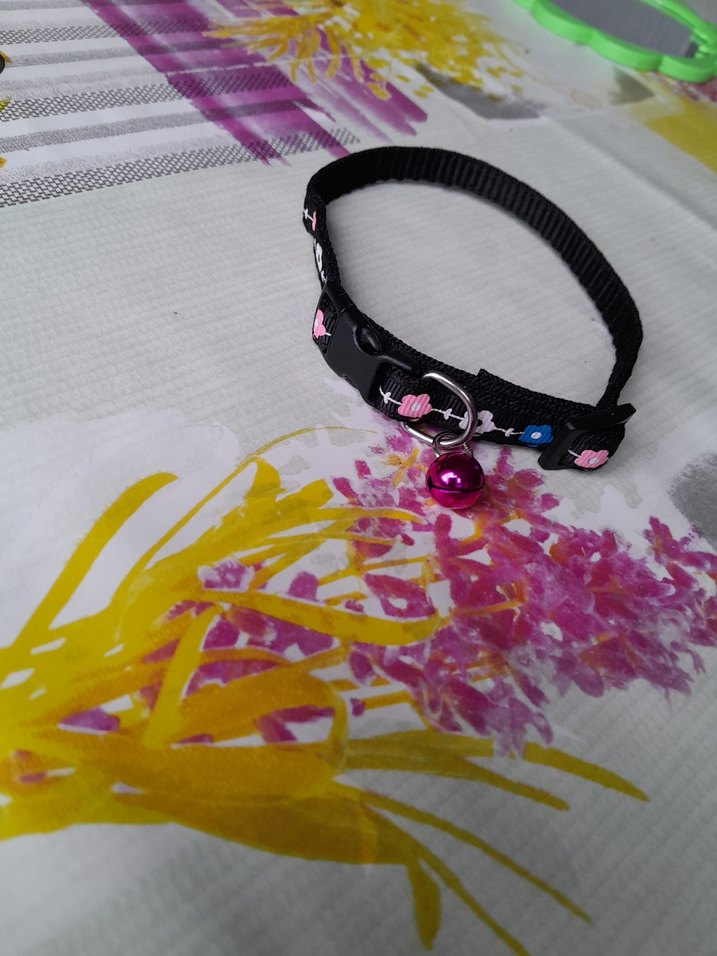 Renkli Pembe Kedi Tasması Çanlı - Görsel 4
