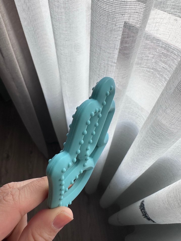 Turkuaz Silikon Diş Kaşıyıcı - Görsel 2