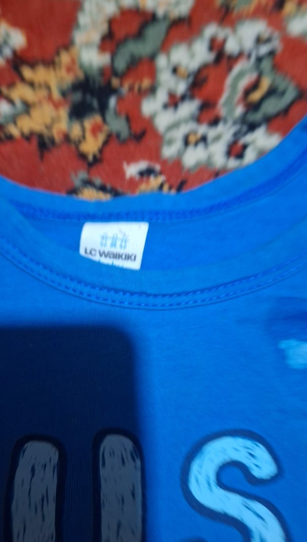 Renkli Baskılı Mavi Erkek Tişört lekesi vardır - Görsel 2