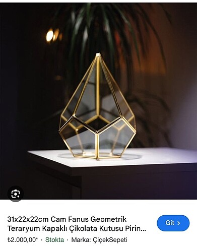 gold fanus