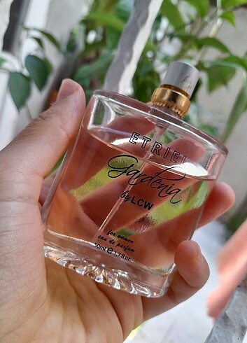 Parfum