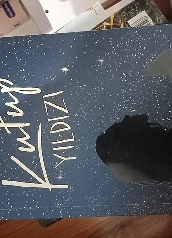 Kutup ayısı 1