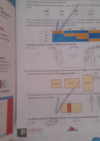 Beden 8. sinif test kitaplari