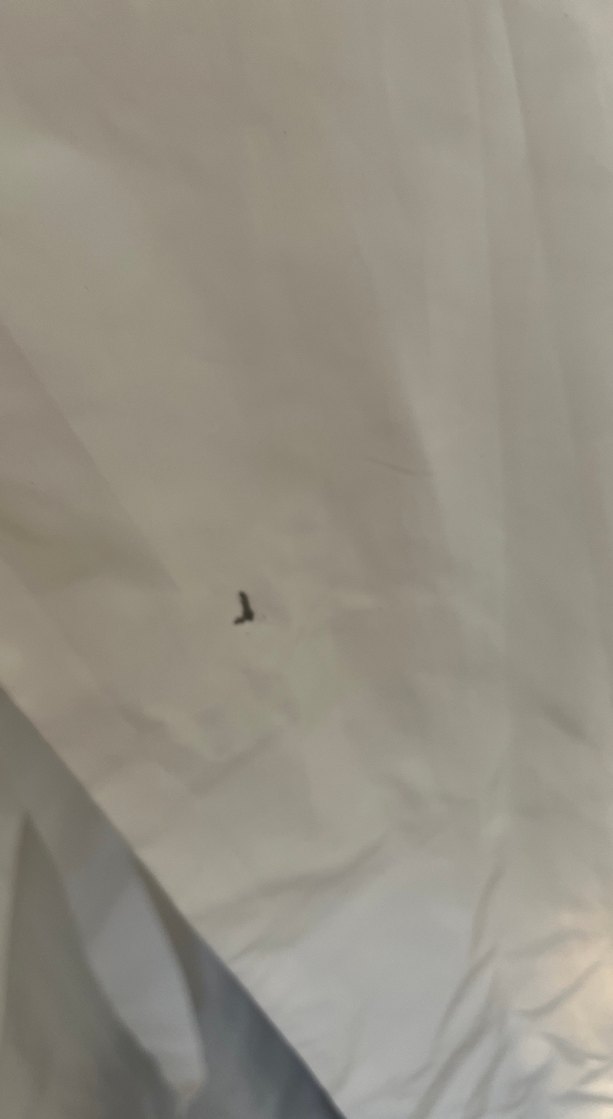 Kadın Beyaz ve Gri Uzun Kesim Keten Trençkot - Görsel 2