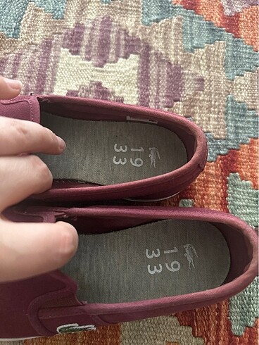 37 Beden Lacoste 37 numara