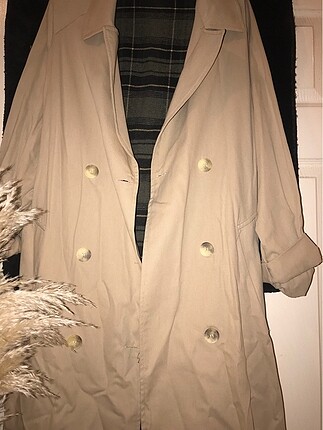 Fashion / STD