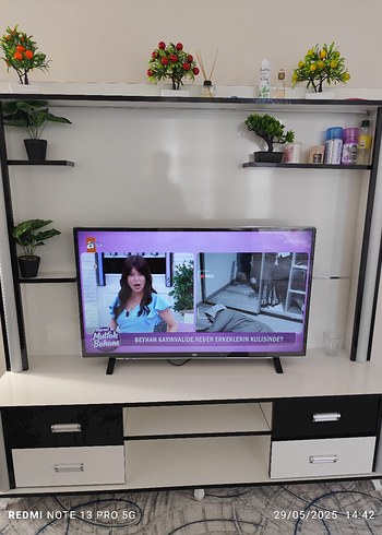 televizyon