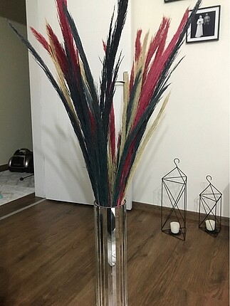 Pampas
