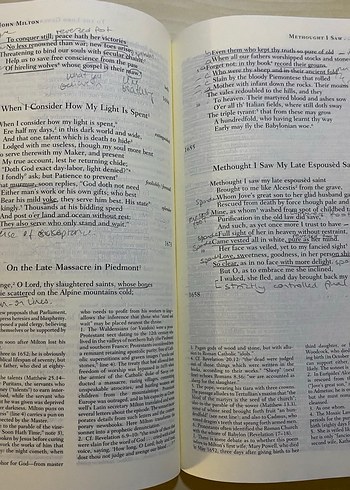  Beden The Norton Anthology Eight Edition Volume 1
