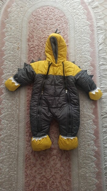 Astronot mont