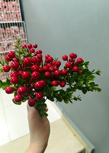 Diğer Kırmızı Yapay Meyve ve Yeşil Dal Dekorasyonu