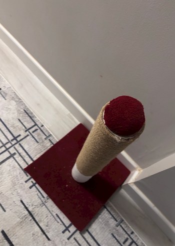 Bordo Kedi Tırmalama Direği
