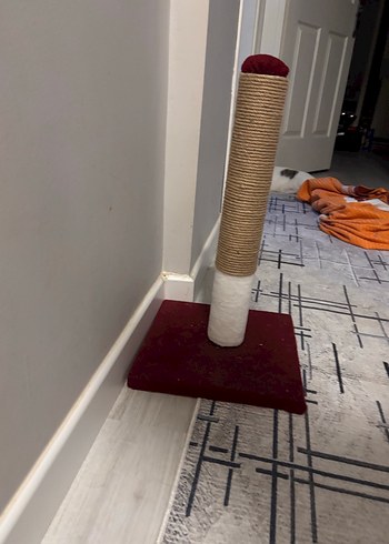  Bordo Kedi Tırmalama Direği