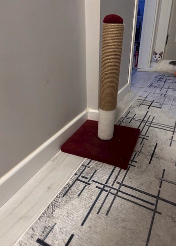  Beden Bordo Kedi Tırmalama Direği