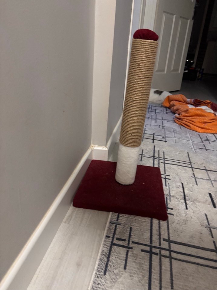 Bordo Kedi Tırmalama Direği - Görsel 4