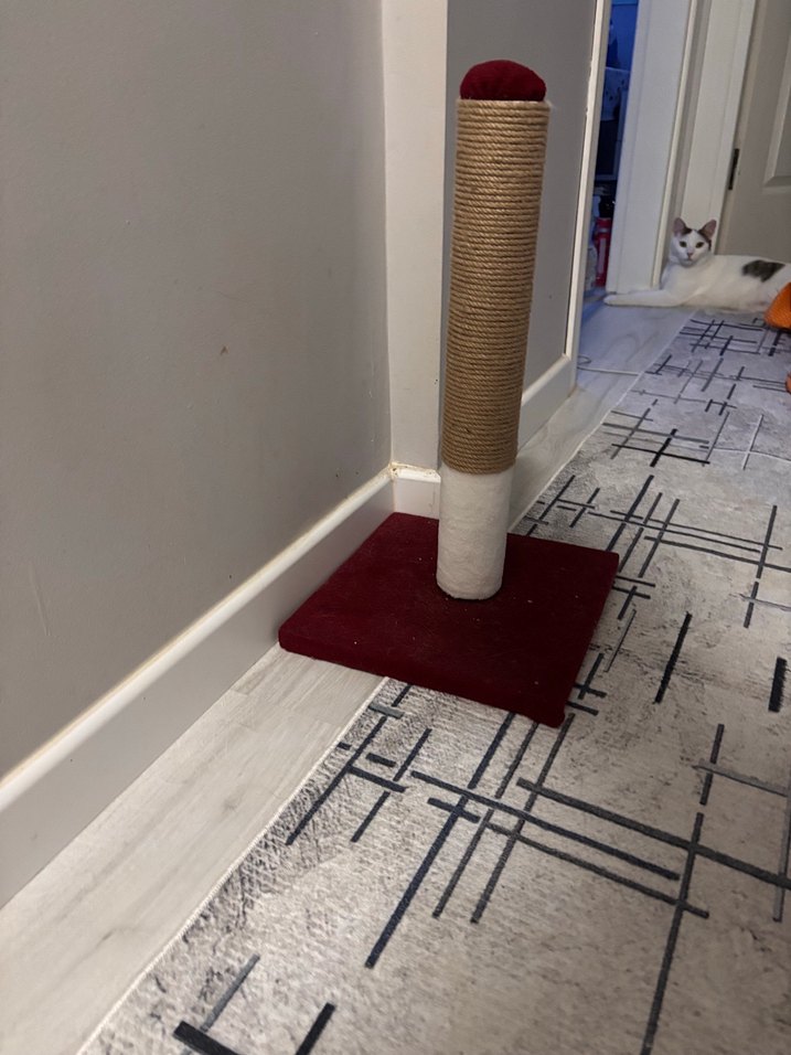 Bordo Kedi Tırmalama Direği - Görsel 2