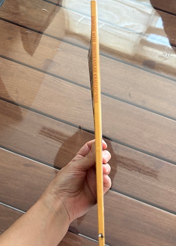 Simone Weil Unutkanlar Krallığı'nda Çocuk Kitabı - Görsel 8