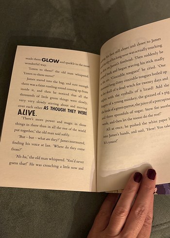 Beden Renk Roald Dahl - The Twits Çocuk Kitabı