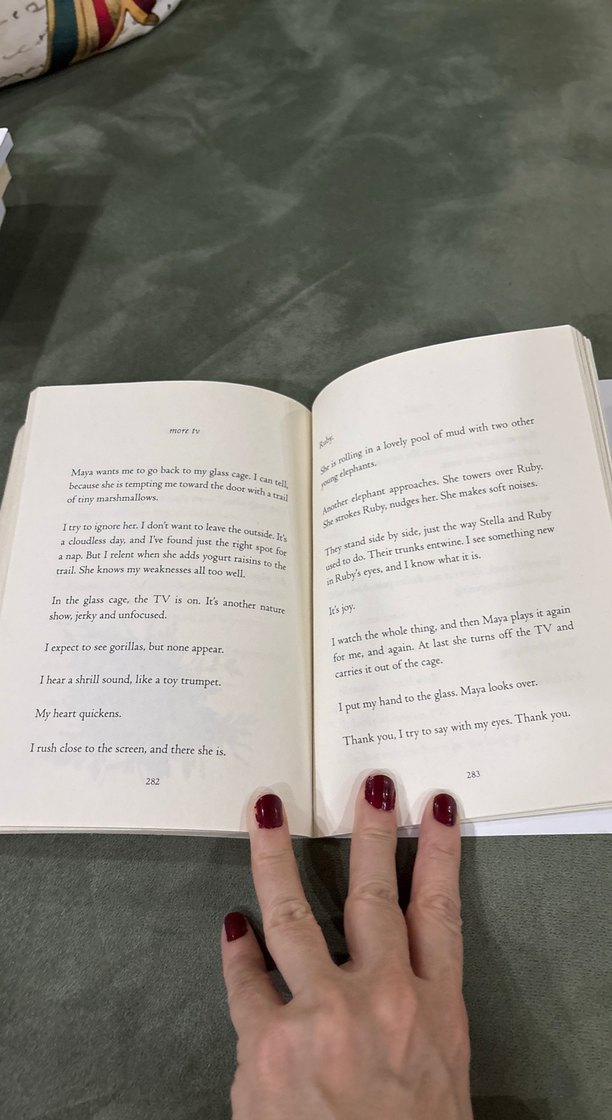 The One and Only Ivan - Katherine Applegate - Görsel 5