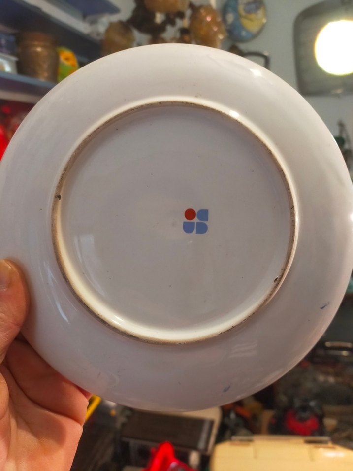 Avrupa Renkli Baskılı Tabak - Görsel 3