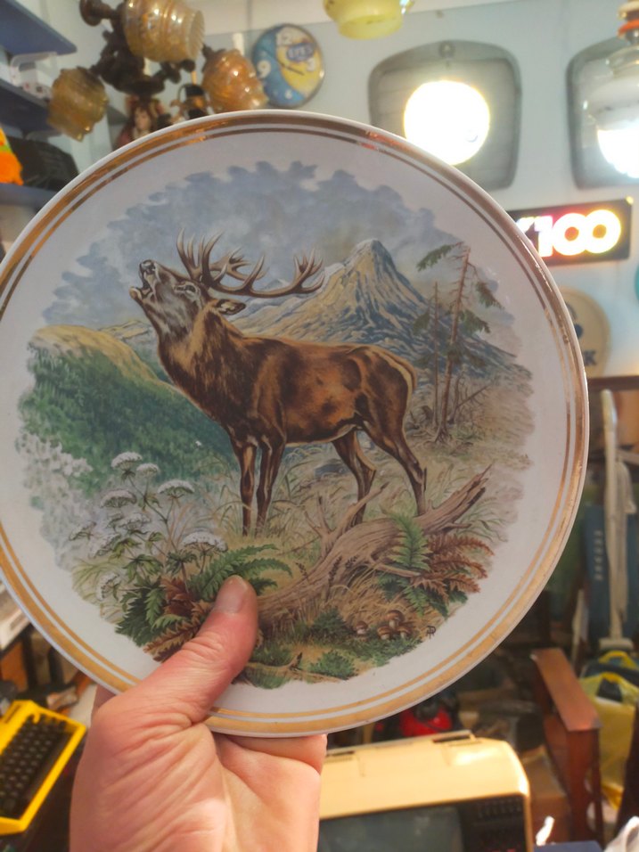 Kahverengi Baskılı Geyik Desenli Tabak - Görsel 2