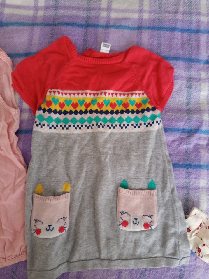 Nakışlı Pembe Bebek Kısa Tulum - Görsel 4