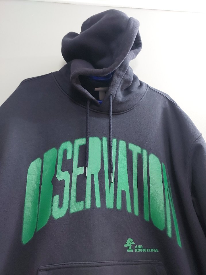 Erkek Kapüşonlu Sweatshirt H&M - Görsel 2