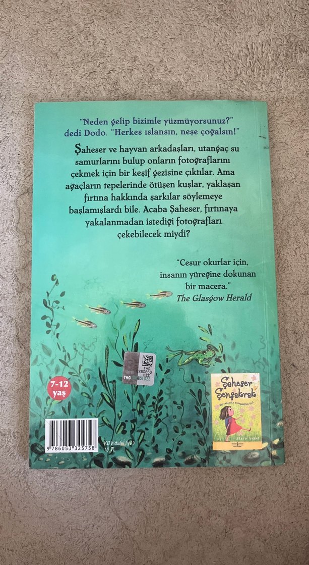 Şaheser Şenşakrak ve Gizli Gölet - Steve Voake - Görsel 2