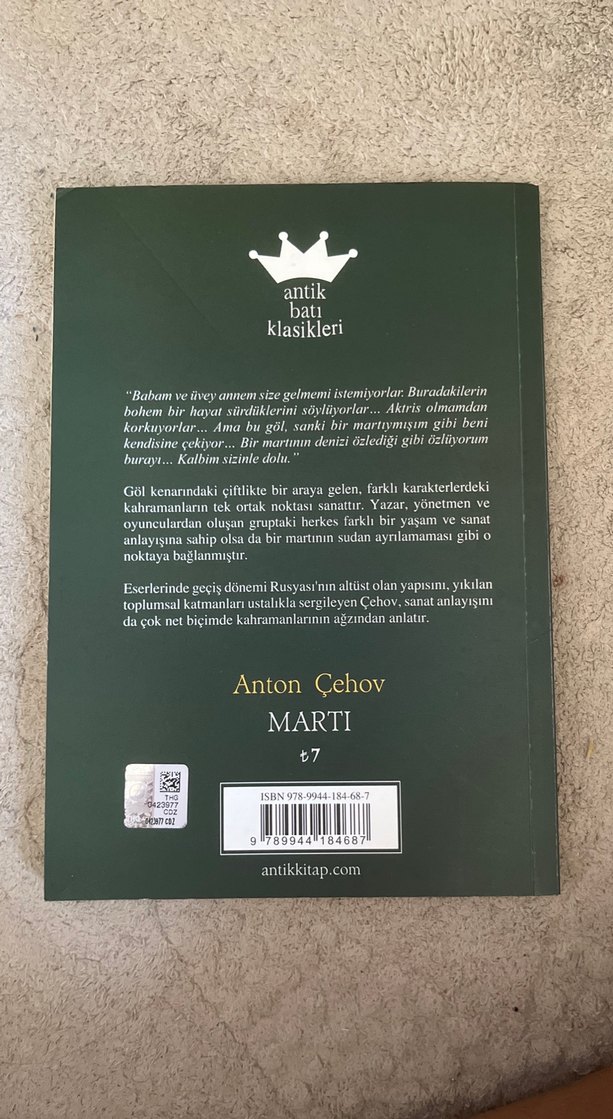 Anton Çehov'dan Martı Romanı - Görsel 2