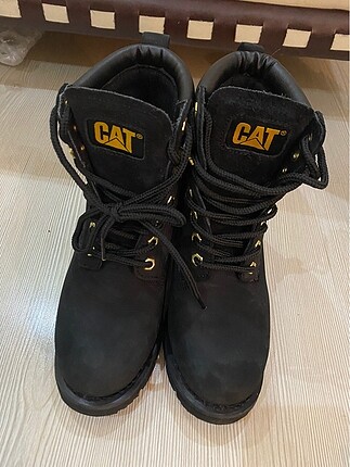 Cat CAT BOT