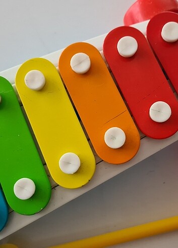  Beden Fisher price ksilifon